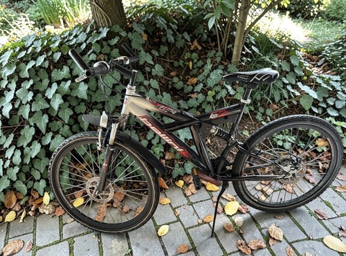Bellini racing bike bici - bici, da