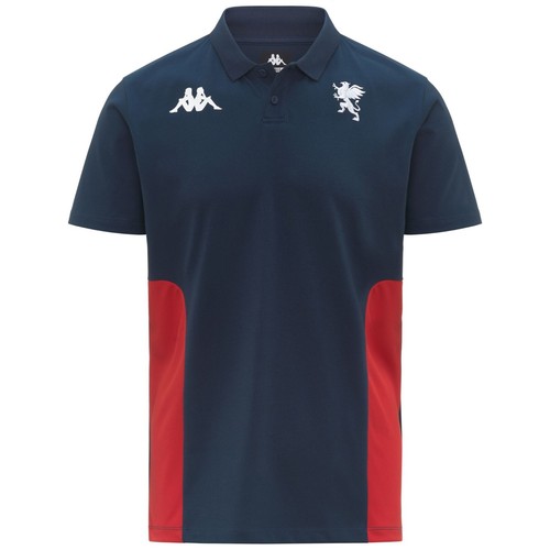Polo rappresentanza - polo,