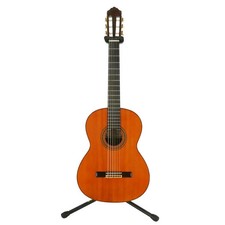 Chitarra acustica Yamaha