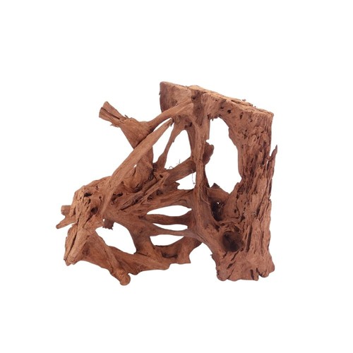 Decorazione radice acquario - , l