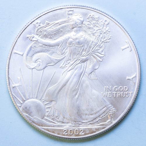 America dollaro 2002 - 2002, american
