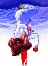 VIKING #4 IMAGE COMICS