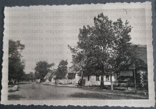 Polonia fattoria animali case