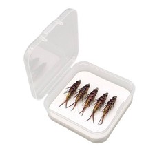 Set 5 Esche da Pesca Ninfa