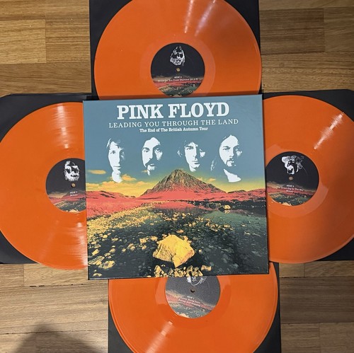 Pink floyd leading you - pink,