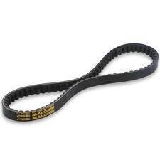 6116421 CINGHIA TRASMISSIONE