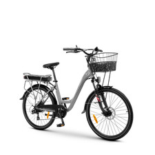 Ypsilon Incanto Lancia  E-bike