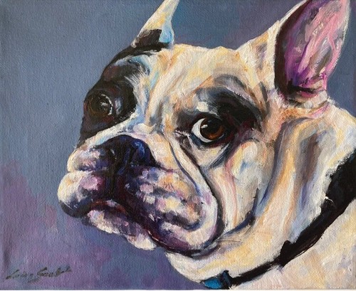 Bulldog ritratto cane - ritratto, di