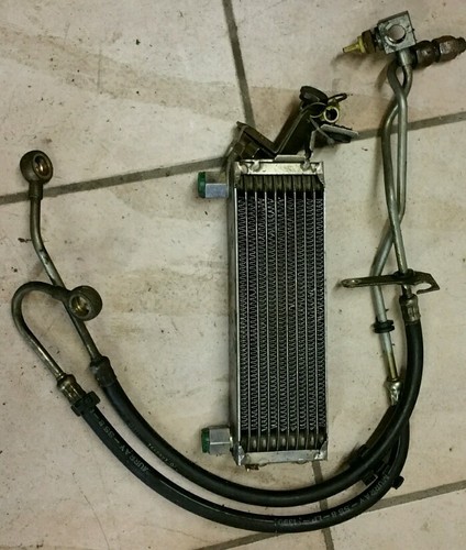 Radiatore olio per auto