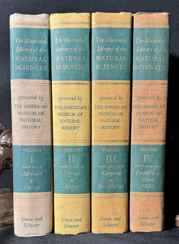 Set the illustrated - set, 4
