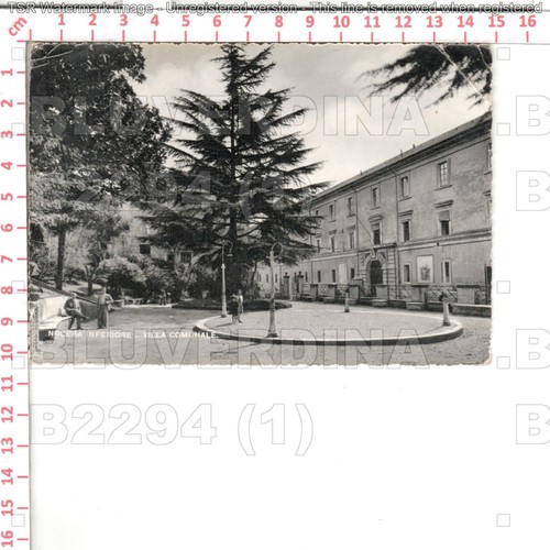 B2294 salerno 1952 - salerno, nocera
