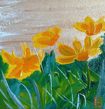 Fiori selvatici tramonto fiume