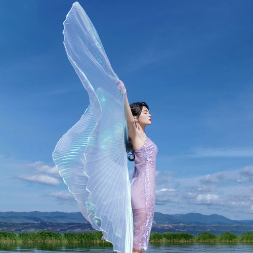 Costume egiziano ali danza del