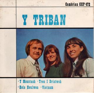 Triban used vinyl record - -,