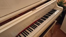 Vendita pianoforte coda - vendita, a