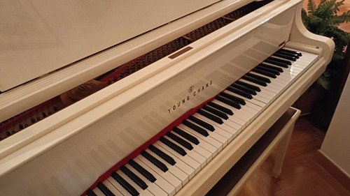 Vendita pianoforte coda - a,