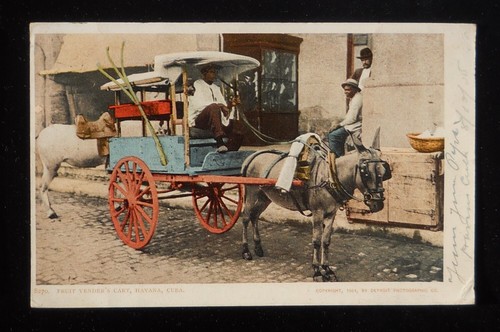 1905 carrello del - del, venditore