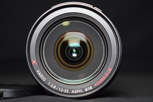 Panasonic lumix vario - g,