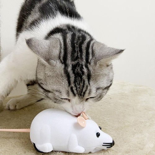 Telecomando mouse rat - mouse, topi