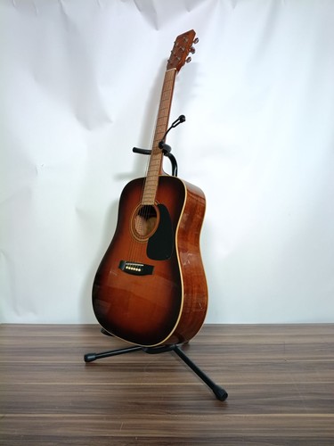 Chitarra acustica takamine - chitarra,