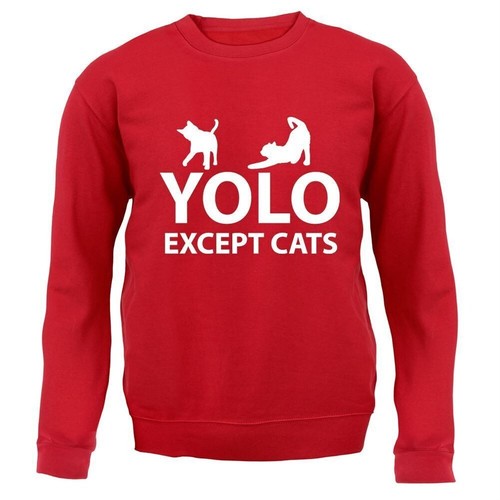 Yolo tranne gatti adulti - yolo,