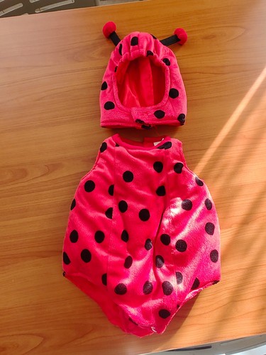 Vestito carnevale bimba - vestito,