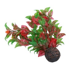 Acquario Acquario Pesciera