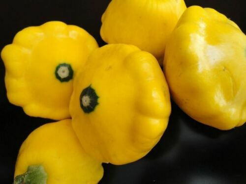 Semi zucca gialla - 15,