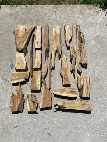 Lotto tavolette legno di - di,