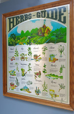 Specchio guida erbe vintage