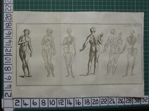 1758 antico stampa - stampa, ~