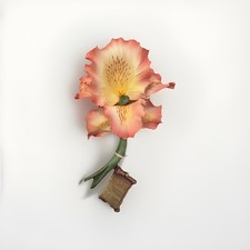 Porcellana Fabar Capodimonte