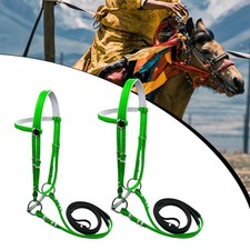 Briglia per cavalli con