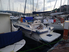 barca a motore usata