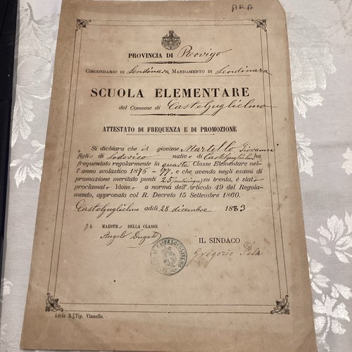Polesine pagella scuola - pagella,