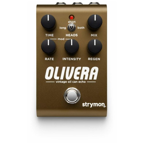 Strymon olivera lattina - strymon,