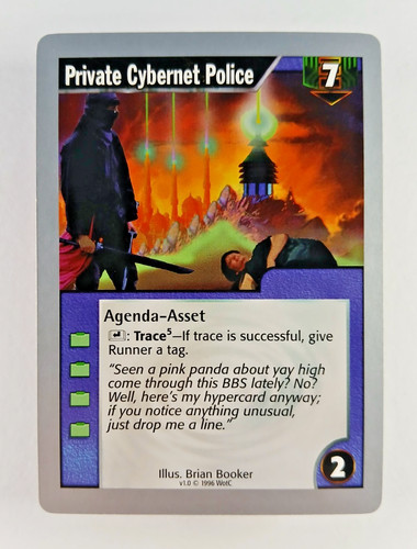Private cybernet police - private,