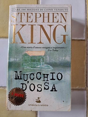 Stephen king mucchio d - -, d'ossa