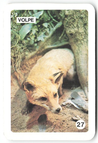 T628 vintage card - -,