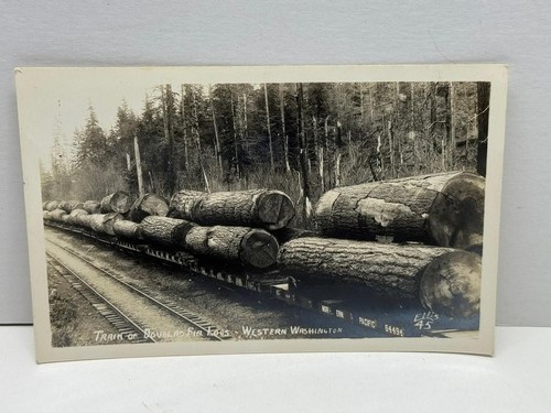 Treno douglas fir logs - fir,