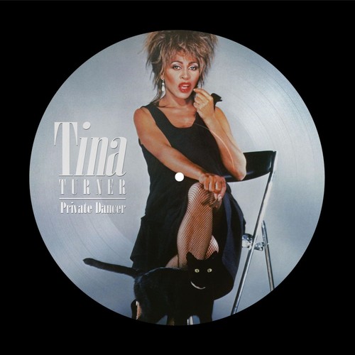 Vinile tina turner - vinile, private