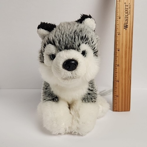 Peluche cane siberian husky - cane,