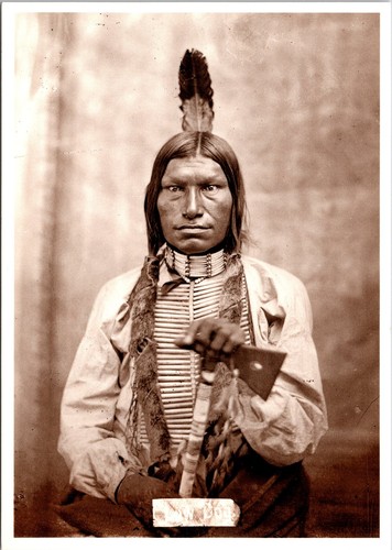 Cane basso oglala sioux - basso, capo