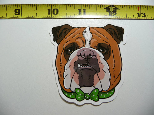 Papillon bulldog piccolo - bulldog,