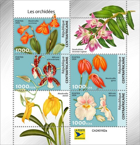Francobolli orchidee mnh - francobolli, 2024