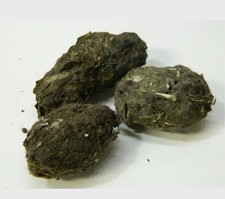 Pellet di gufo taglia media