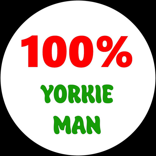 Pin button badge - button, funny