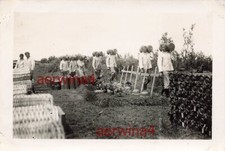 Elmetto in acciaio tombe degli