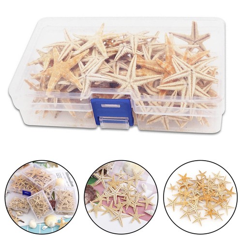 Piccole stelle marine - , naturali