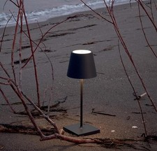 POLDINA PRO Ai Lati Zafferano NERO originale